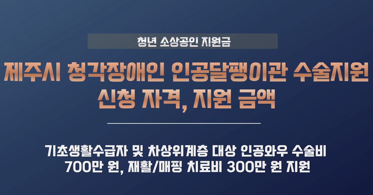 청각장애인 인공달팽이관 수술지원